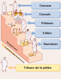Schéma simplifié